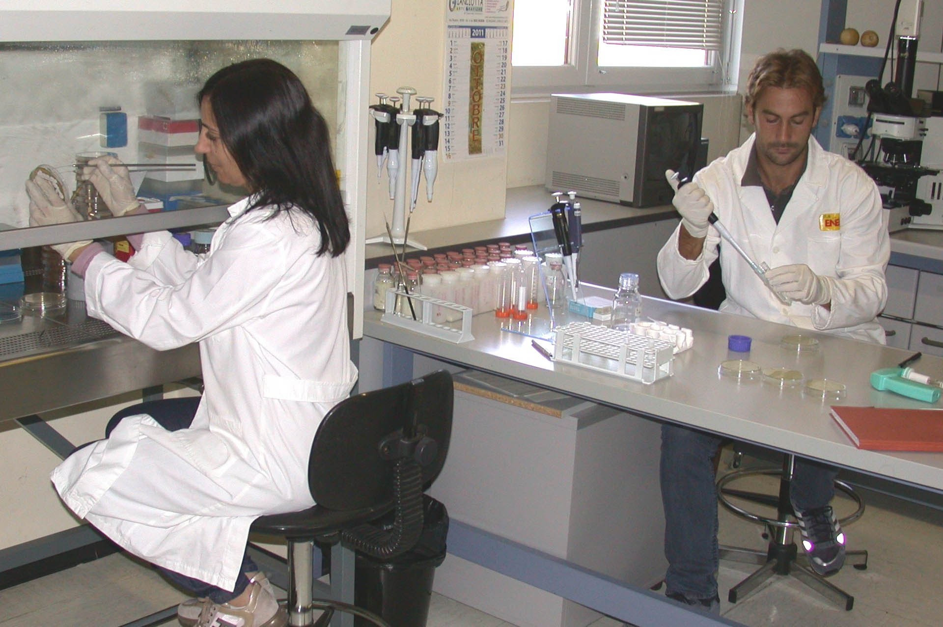 Laboratorio fitopatologia